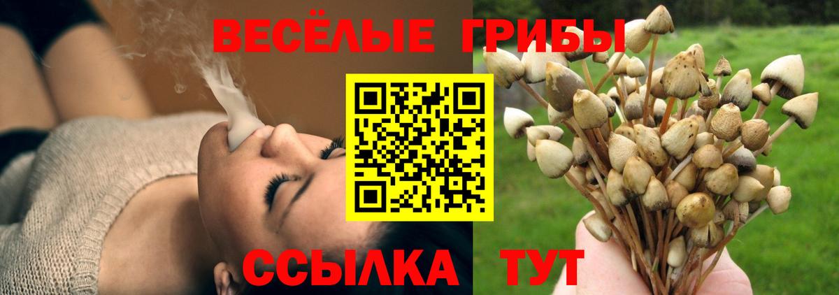 Псилоцибиновые грибы Cubensis  Псилоцибиновые грибы мухоморы  Новосибирск  Вход с VPN 